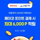 와플대학 페이코 결제 시 2000포인트 적립 이미지