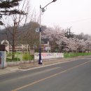 석곡초등학교 이미지