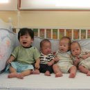 디어패밀리 이미지