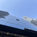 강남 반영구 헤어라인 받고 온 후기