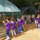 부광농장 이미지