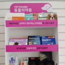 거북이약국 이미지