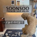 순수 금천독산점