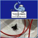 삼풍동 | 경산하수구뚫는곳 삼풍동 원룸 하수구 머리카락 제거 후기