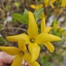 골드라인공인중개사사무소 이미지