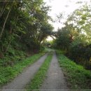 우회도로삼거리(우) 이미지