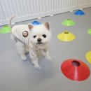 차차네 유치원 이미지