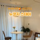 누코지스테이 이미지