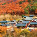 지정32 이미지