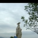 실크로드 민박 이미지