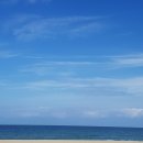 바다정원 이미지