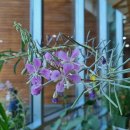 국립백두대간수목원 판매센터 이미지