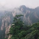 날마다 감사하자 이미지