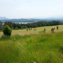 용동축산 이미지