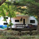 생태체험학습장 야영장 이미지