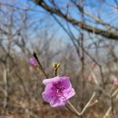 금북정맥 10-1~2구간 홍동산,백월산 산행(2024년 3월23일) 이미지