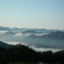 더달보드레카페