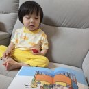 그림책으로 듣는 이야기 클래식 | 25개월 책육아 추천 그레이트북스 도레미곰 클래식으로 즐기는 유아전집 후기