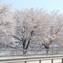 생활권9 이미지