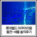 잠실 롯데 아쿠아리움 아이와 주말 나들이, 할인권과 연간권 활용법, 연간권 3년차의 솔직 후기