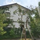 카페 슬루프(cafe sloop) 이미지