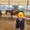 동하산업 | 아이들 자신감 업! 학생승마 포니 2급 후기