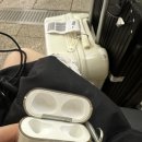 신전여성 | [이집트] 이집트 아스완 아부심벨&amp;필레신전/룩소르 룩소르 신전 여행 후기