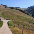 향원목장 이미지