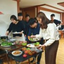 성용목장 Daum카페