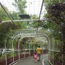 구공설운동장 이미지