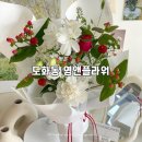 영플라워 | 도화동 앨리웨이 꽃집 [영앤플라워] 내돈내산 후기 | 산딸기 천일홍 꽃다발