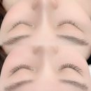 온디자인 | 산본 속눈썹 연장 잘하는 위즈래쉬에서 브라운모 캣츠디자인 받고온 후기