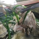 이집이좋겠네 이미지