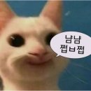 퓨리카 | 퓨리카 뮤신 콜라겐 내돈내산 2달 먹어본 팩폭 후기