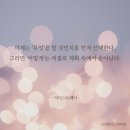 모닝웨이 네이버블로그