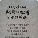 봄봄봄 이미지