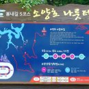 소양호나루터길(봄내길 5코스) 이미지