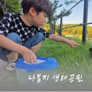 참나무공원 화장실 | 아이와 함께 한 나불지 생태공원 산책 ft. 곤충채집