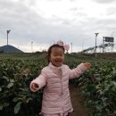 라그라스 펜션 이미지