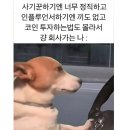 명지대학교 기록과학대학원 | 8개월 전, 대학원이요? 어..우선 해볼까?