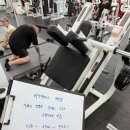 경기도 수원 / 뉴텍 화이트 핵스쿼트 추가할인!!! 이미지