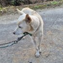 옥천동물병원 이미지