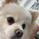헬로바디피트니스