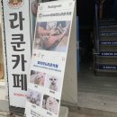 멍이와 쿤이 이미지