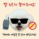 강아지도어사인 맛집 댕프링 벨누르지마세요 주문제작 후기