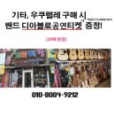 기타매장 퀸악기점 네이버블로그