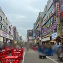 탄통제주돼지
