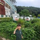 김포솔터축구장 | 김포FC 솔터축구장 홈경기 관람후기