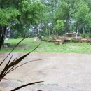 강림중학교 이미지