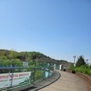 아라마루 카페 이미지